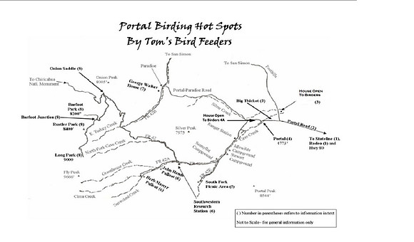 Portal Birding Map 2_v01