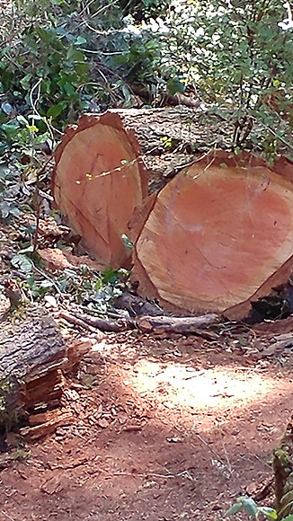 20190806_125828