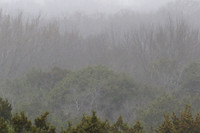 8F1A9773_orig