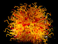 Medusa 03
