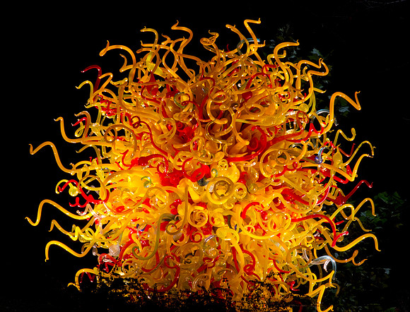 Medusa 03