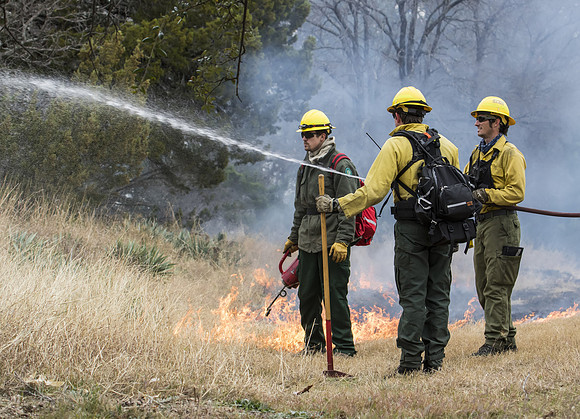 8F1A7398