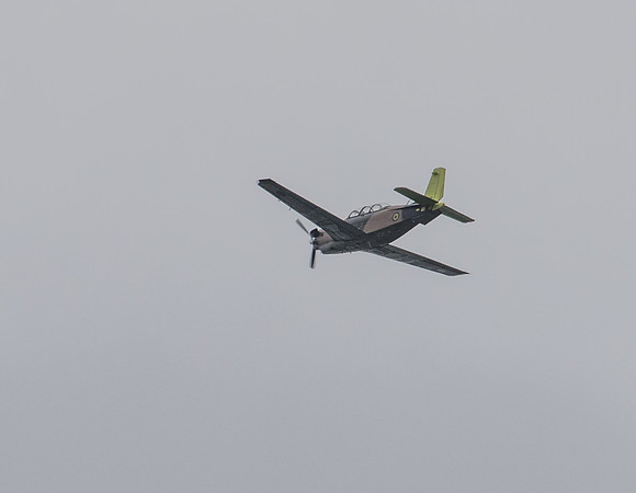 8F1A6647