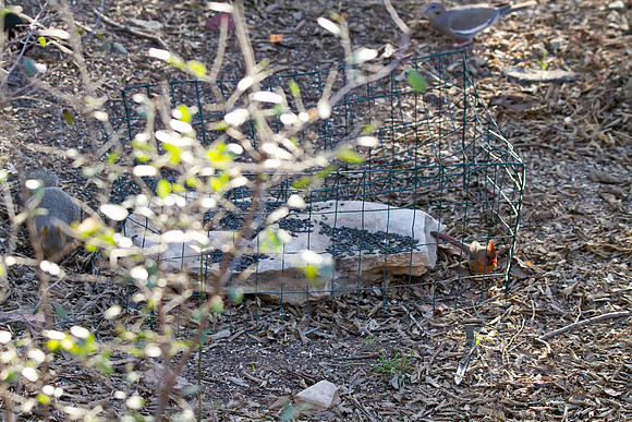 _MG_8164