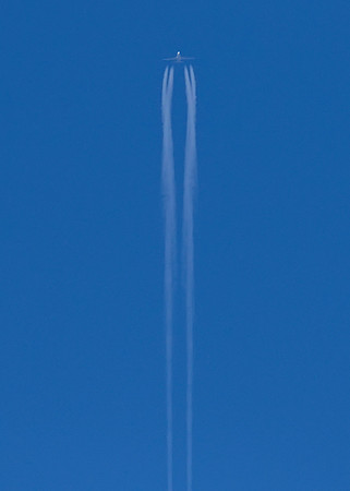 8F1A6690