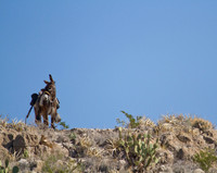 Ambush
