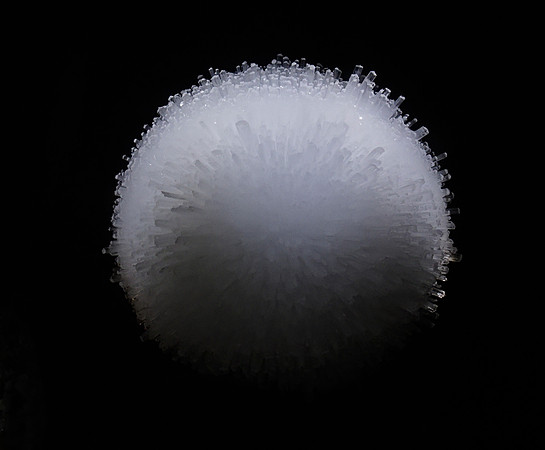 _DSF1210
