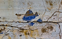 8F1A1026