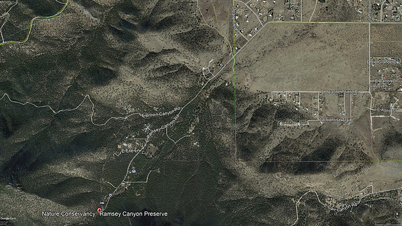 Ramsey Canyon Preserve 02