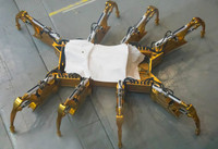 NASA Spider