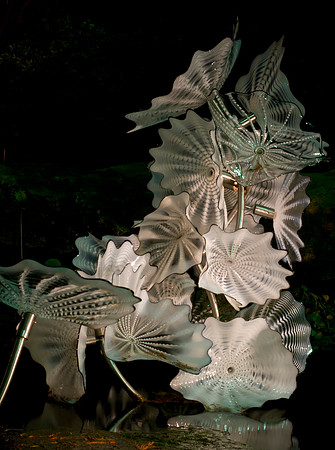 Fronds 01