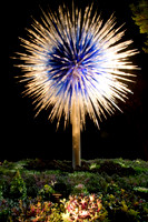 Firework