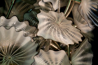 Fronds 02